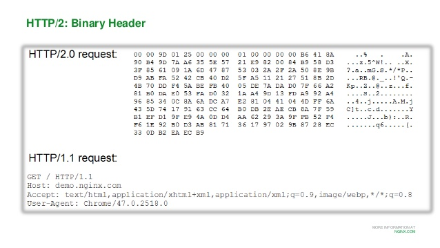 Http Protocol Header