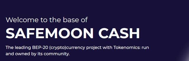Safemoon Adalah Proyek Cryptocurrency Bep 20 Terkemuka Dengan Tokenomics By Sami Ona Medium