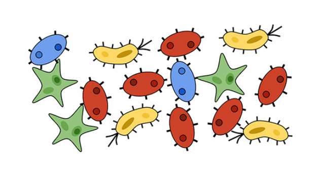 Estimating The Complexity Of Metagenomes By Sadaf Tafazoli Medium