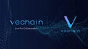 VeChain Foundation