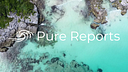 Pure Reports