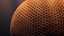 Freelance Hive
