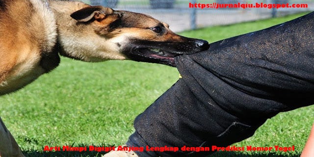 Arti Mimpi Digigit Anjing Lengkap dengan Prediksi Nomor