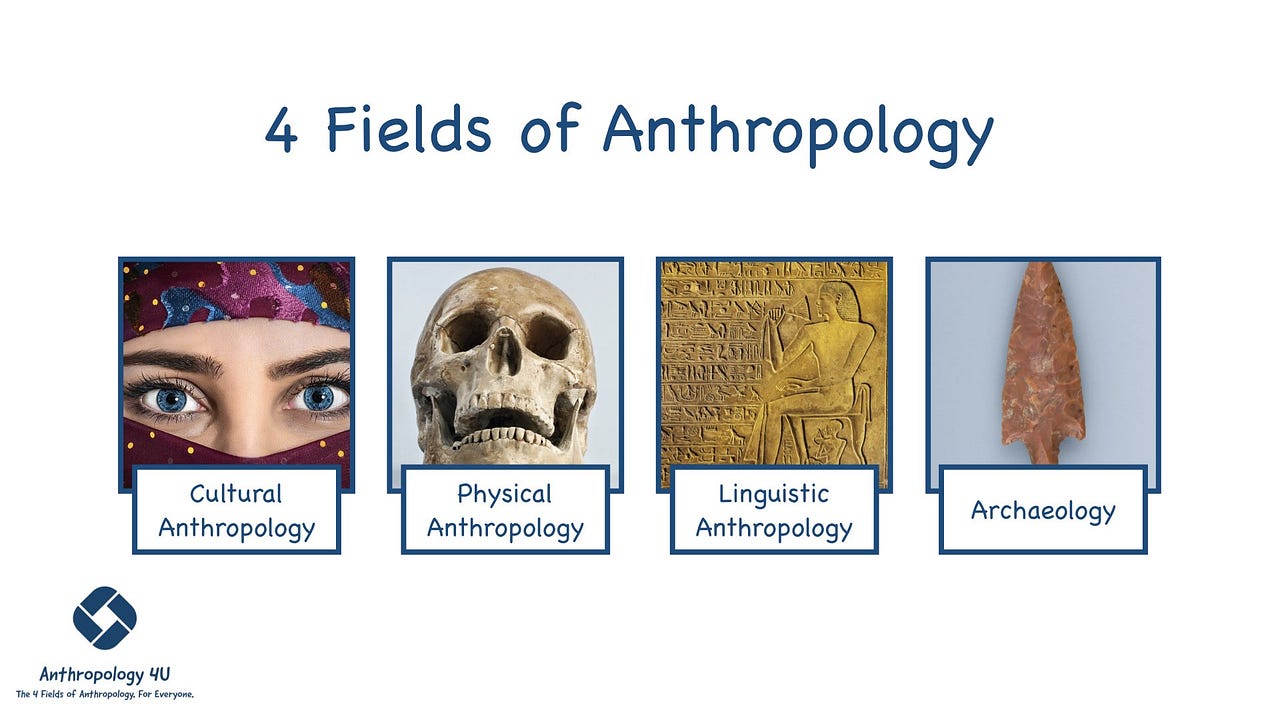 Anthropology 4U – Medium