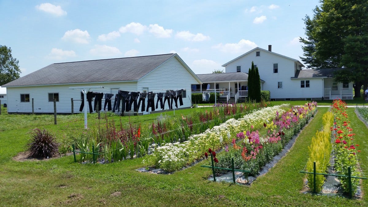 Amish Living 101. Living up here in this Tennessee… by Tammy Sons