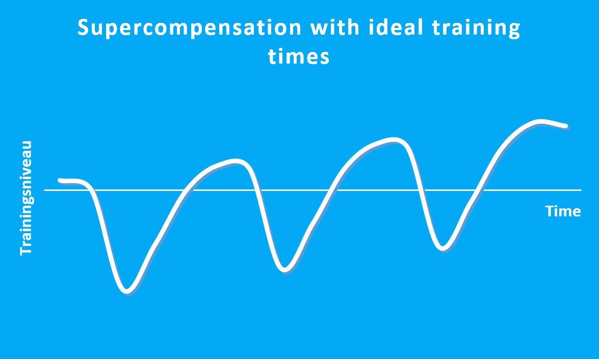 Training Theory — — “Muscles Over Night” by BestFit