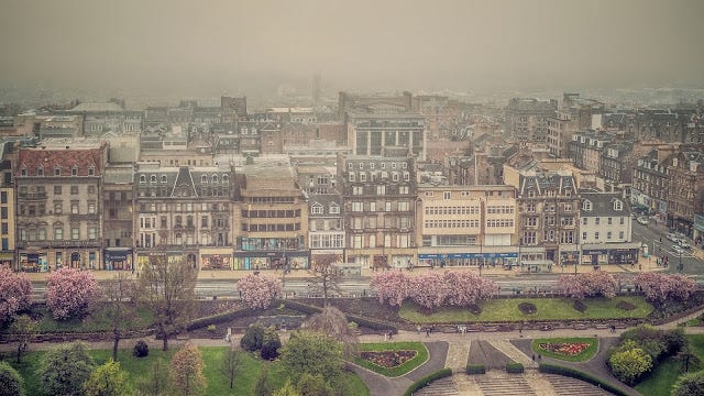 Edinburgh in the fog in cherry blossom season, post lockdown trip, mandy charlton, photographer, writer, blogger