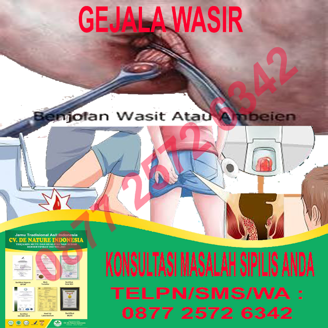 Ubat buasir yang paling berkesan di Penang Island - Asli 