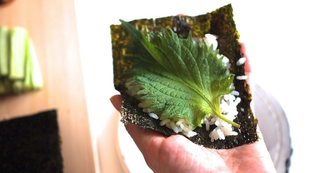 Perilla Leaf What Is Perilla Leaf By Tony Chen Medium