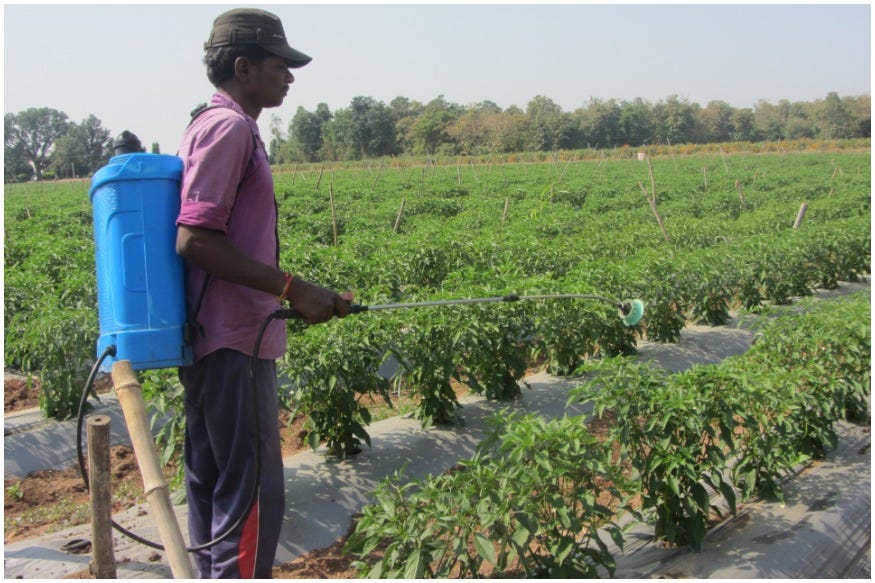 The Secret Formula of Madhya Pradesh Farmers Drip Irrigation by