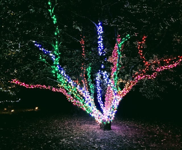 Garden Of Light Brookside Gardens Andrew Avraham Blumenthal