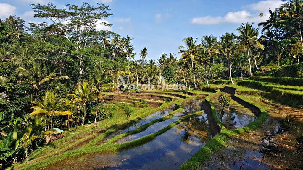 Candicandi Tebing di Bali by Yacob Wijaya Marcapada