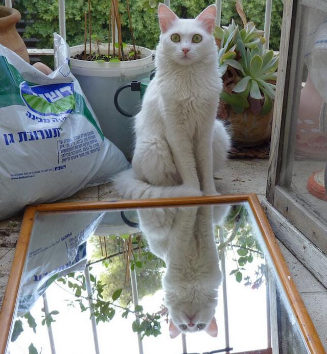 Ask Polly My Ex Dumped Me Callously And I Can’t Get Over It! by