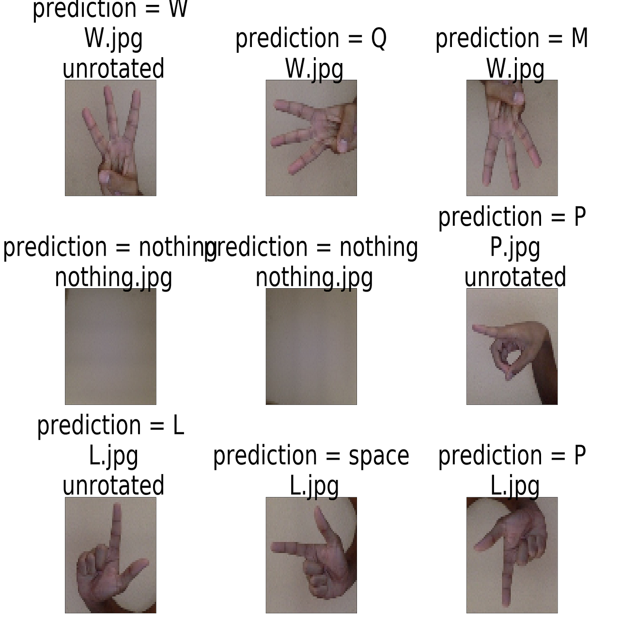 Classifying the ASL Alphabet using Machine Learning