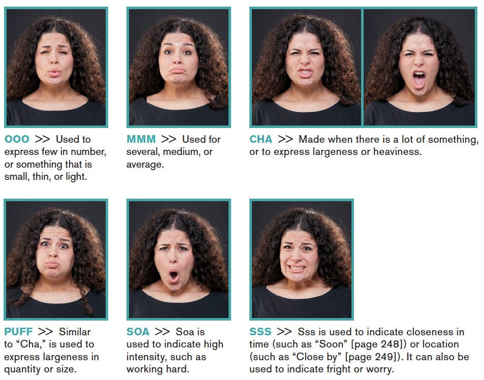 Understanding Sign Language Development Acquisition of Grammatical Facial Expressions by