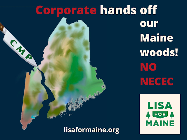 Not Clean Not Green Proposed Cmp Corridor Necec An Environmental Disaster From Beginning To End By Lisa Savage Medium