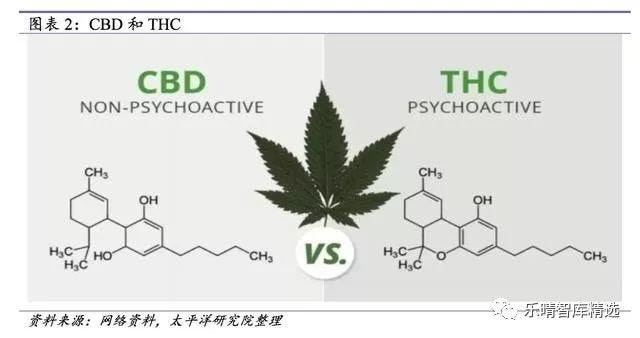 18年中國市場工業大麻行業研究報告 來源 太平洋證券 By Jacklin Unireport Medium