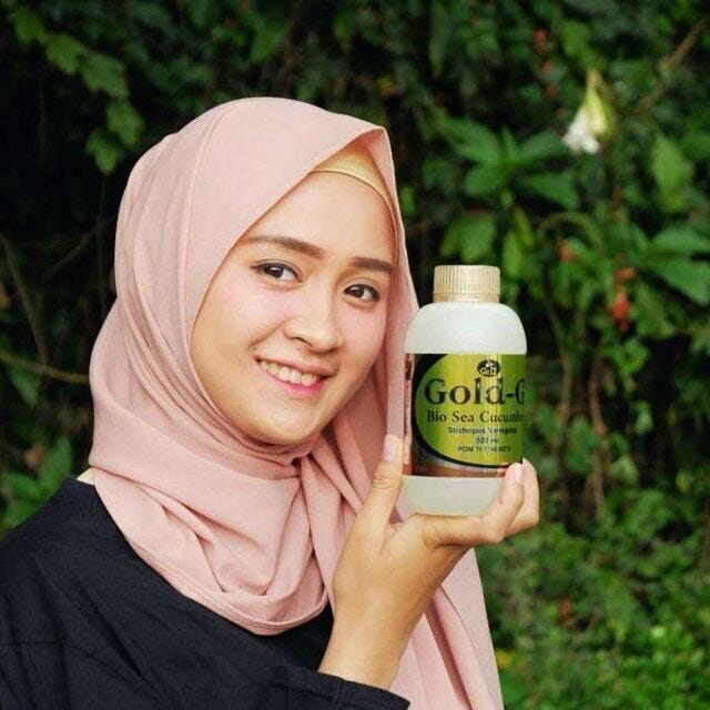 Proses Pencernaan Makanan  Pengertian Jaringan Mekanisme