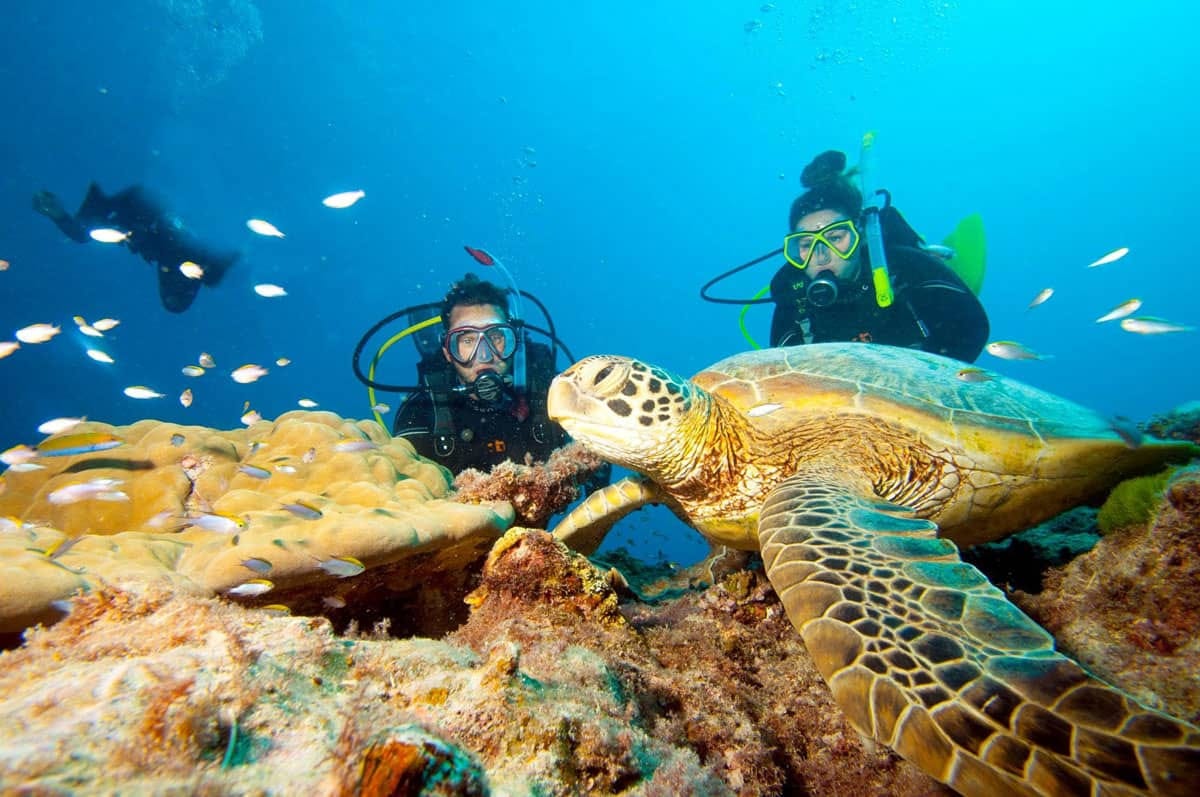 15 Best Places For Scuba Diving Across The World by Gizem Tas