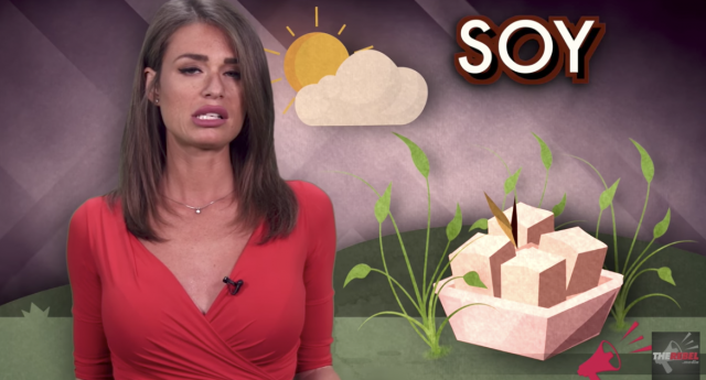 How Soy Boy Became The Far Right S Favorite New Insult By Will Sommer Medium