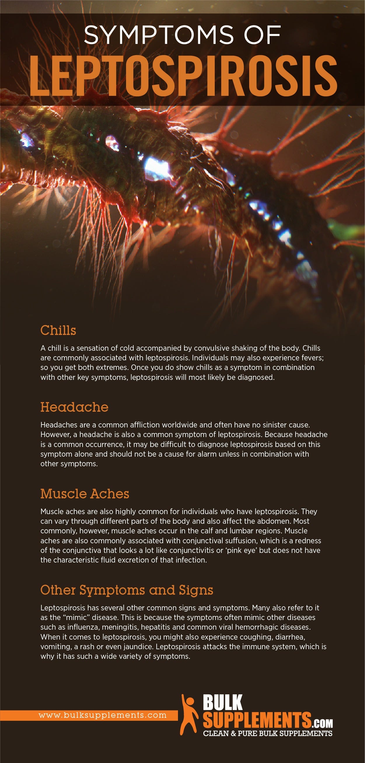 Leptospirosis Symptoms, Causes & Treatment by James Denlinger Medium