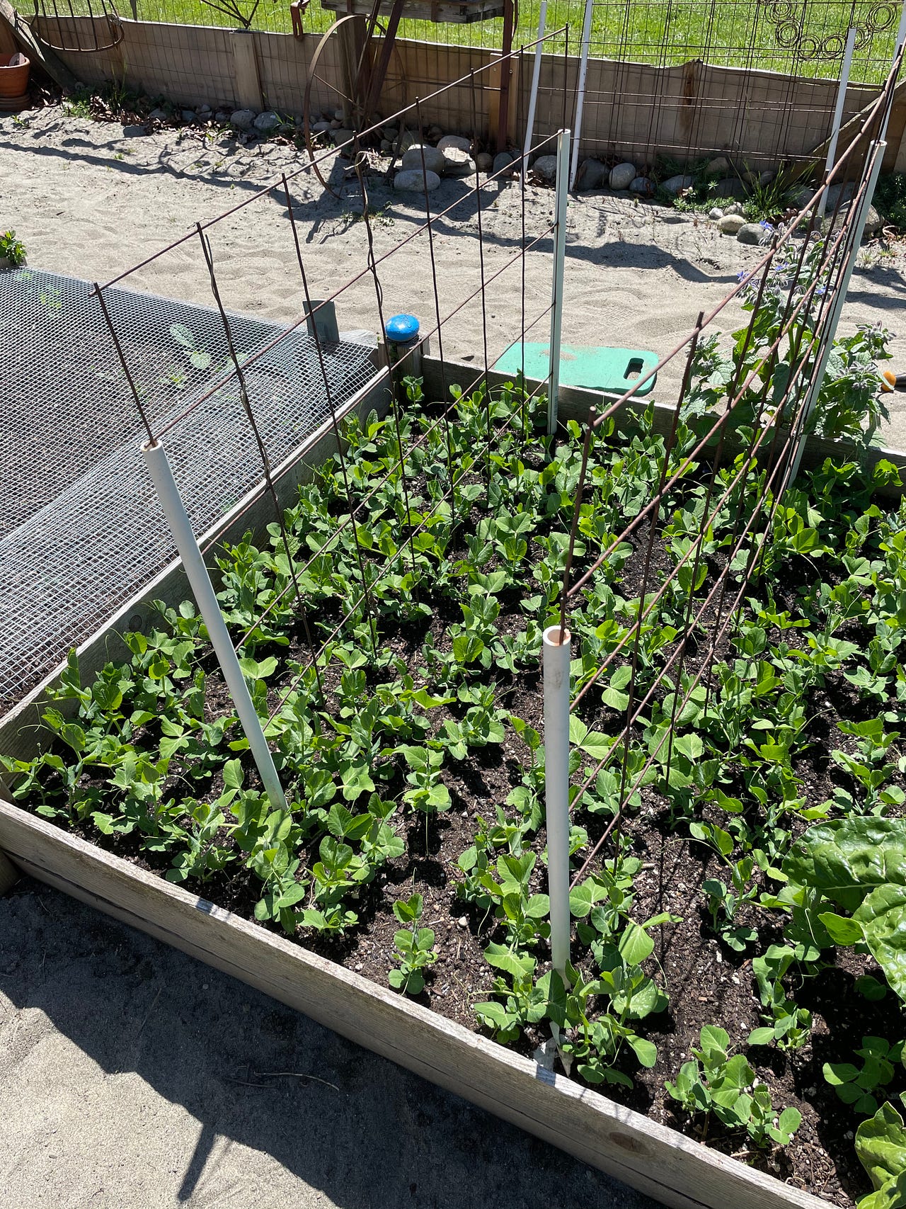 How to Make DIY Plant Supports, and Have Fun Doing It by Adelia