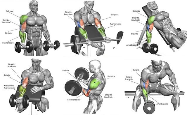 Best forearm exercises for mass bodybuilding by aimee medium