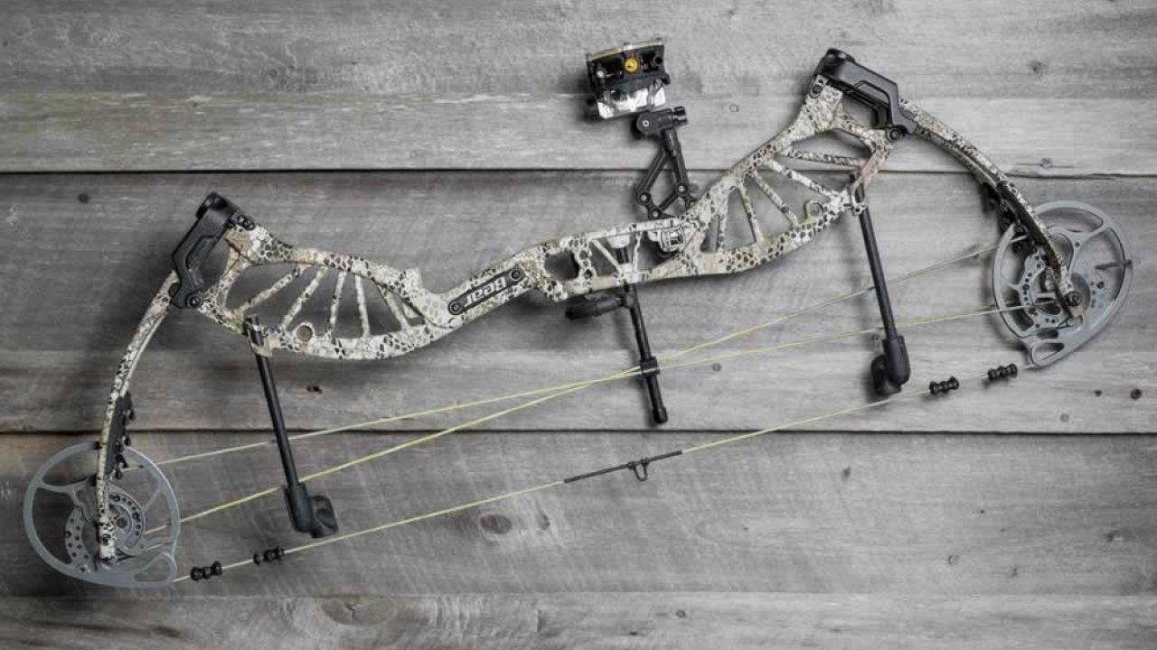 Best Compound Bow Under 600 USD