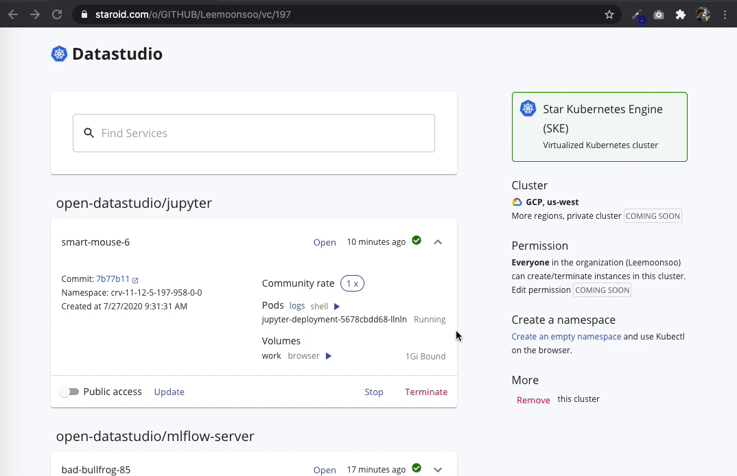 jupyter notebook open in terminal