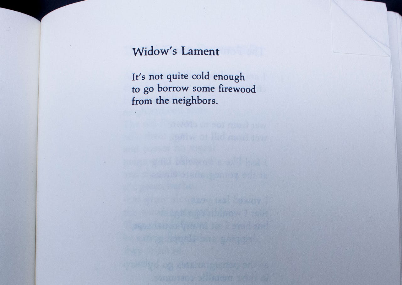 The Best Poem Ever Written Poetry Is My Excuse For Talking By