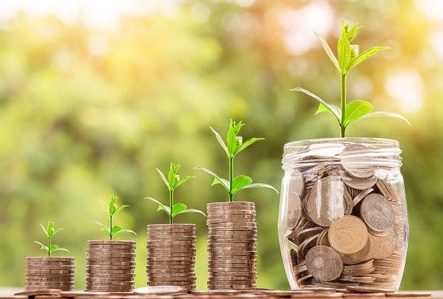 Grow capital
Image by Nattanan Kanchanaprat from Pixabay
