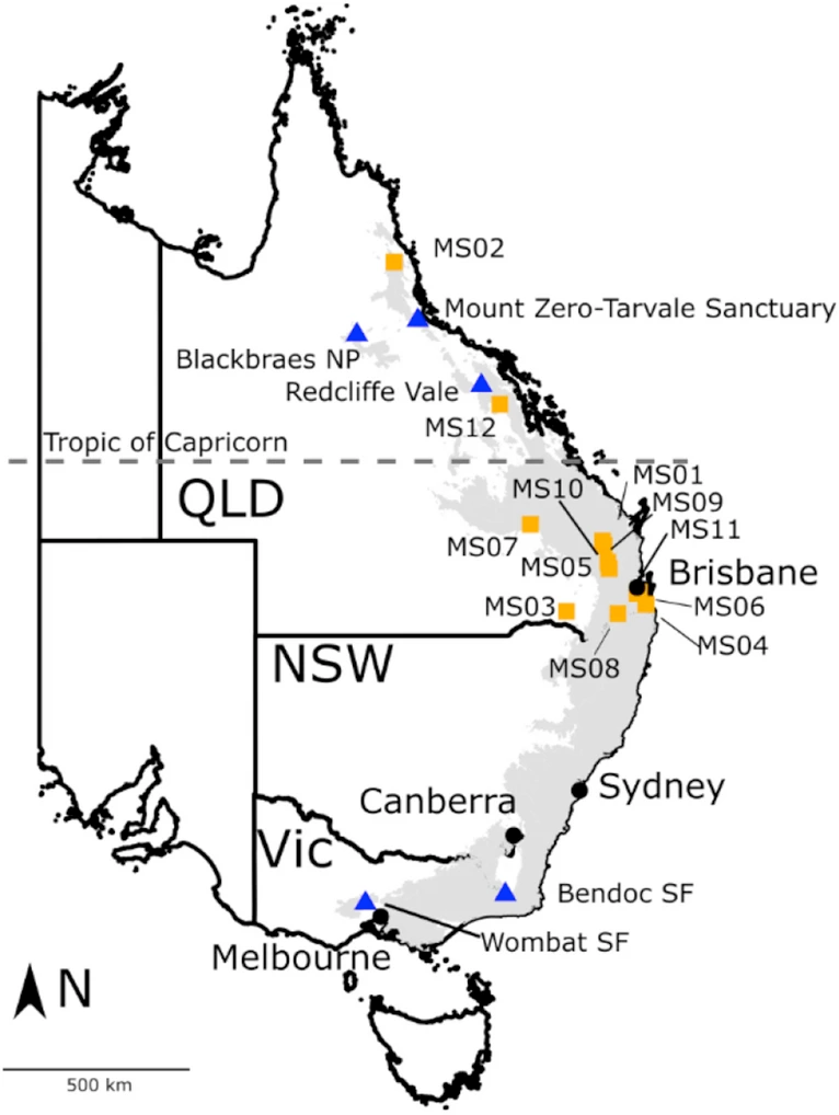 Australia Just Got Two New Marsupial Cuties by ScienceDuuude Science and Philosophy Medium