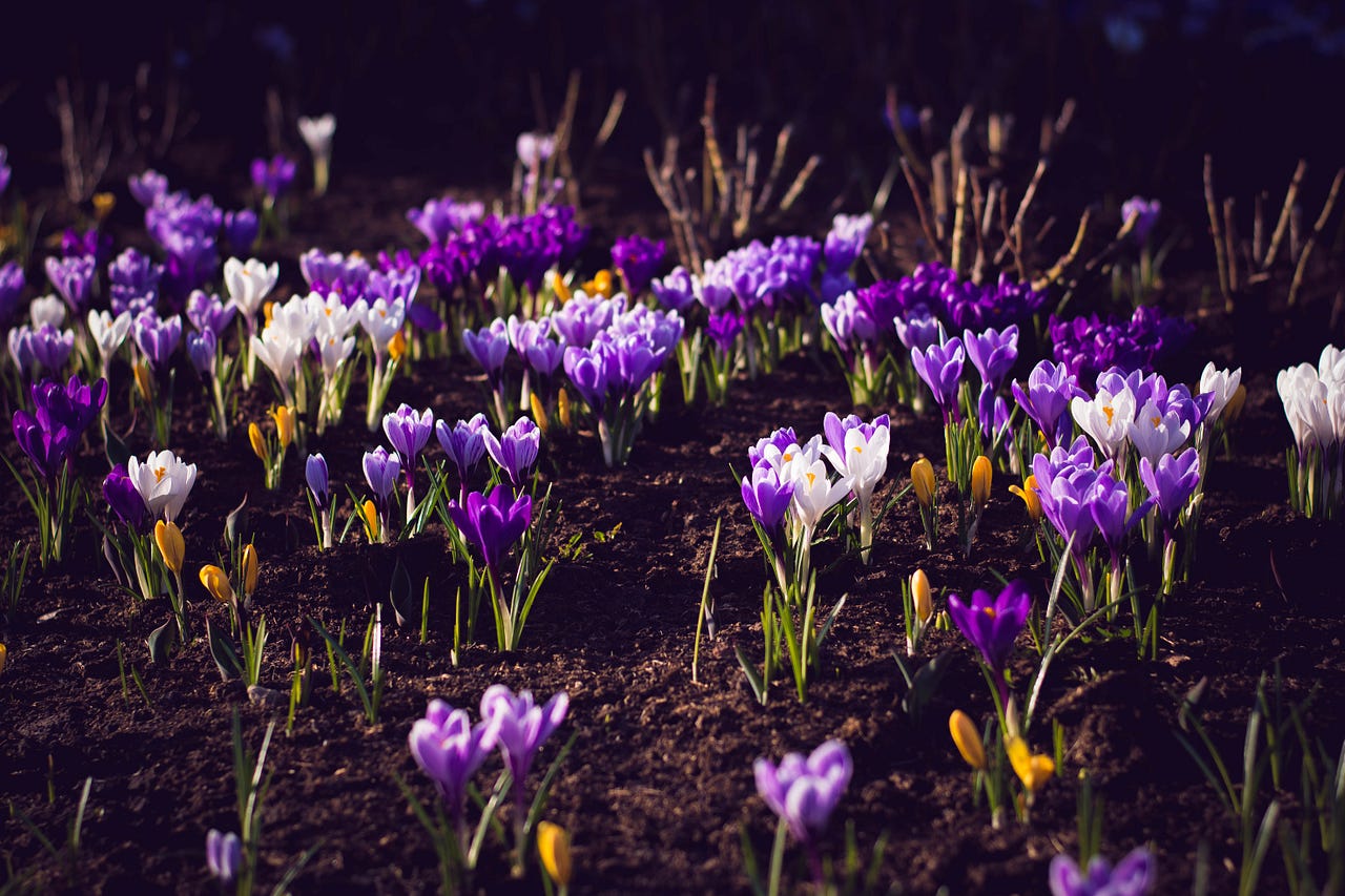 How To Give Yourself More Breaks Make Everyday Earth Day By Danielle