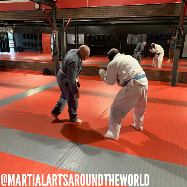 Martial Arts Around the World Chicago (Alpha Krav Maga Compound