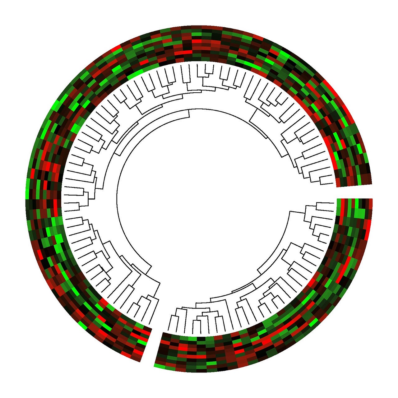 Making genomic data come alive with circos plots | by Maria Nattestad ...
