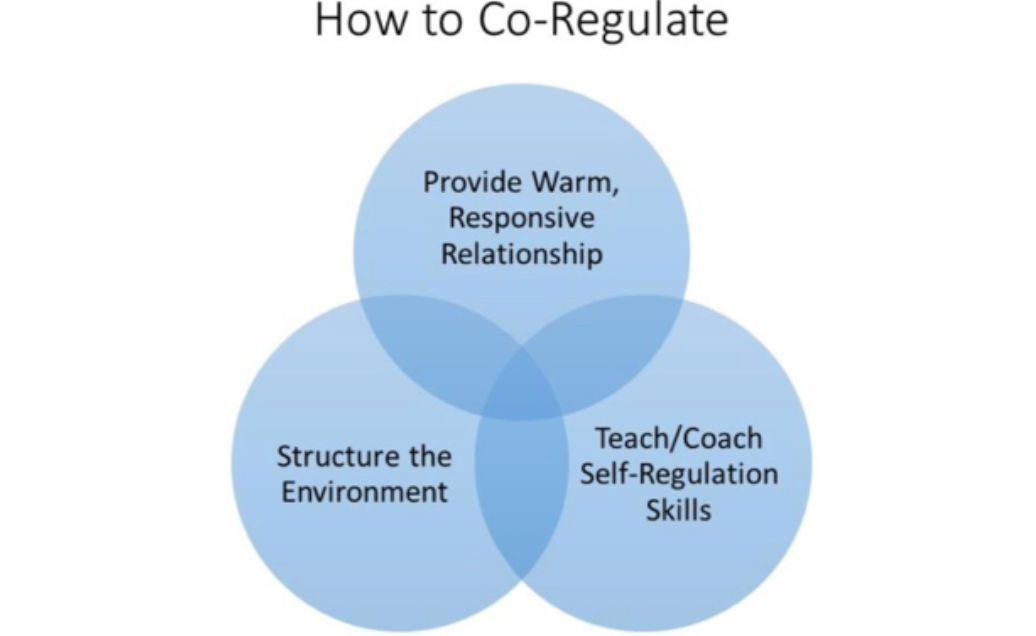 Co-Regulation: The Key to Building Sustainable Trauma-Informed School