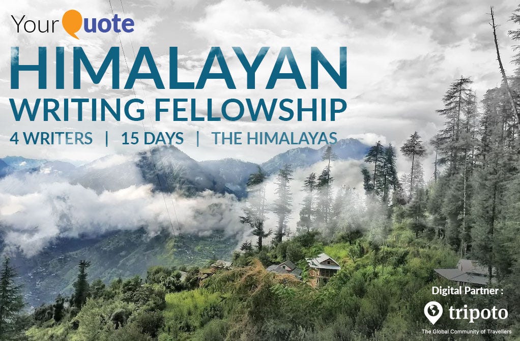 Degree in creative writing image