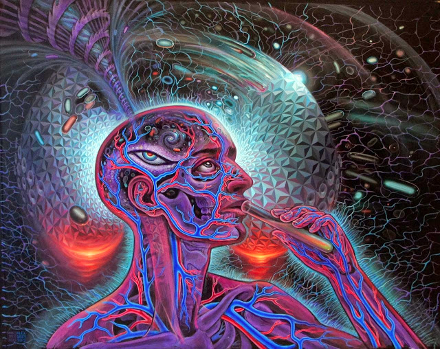 My Ayahuasca Experience A Heavenly Hell Troy Erstling Medium
