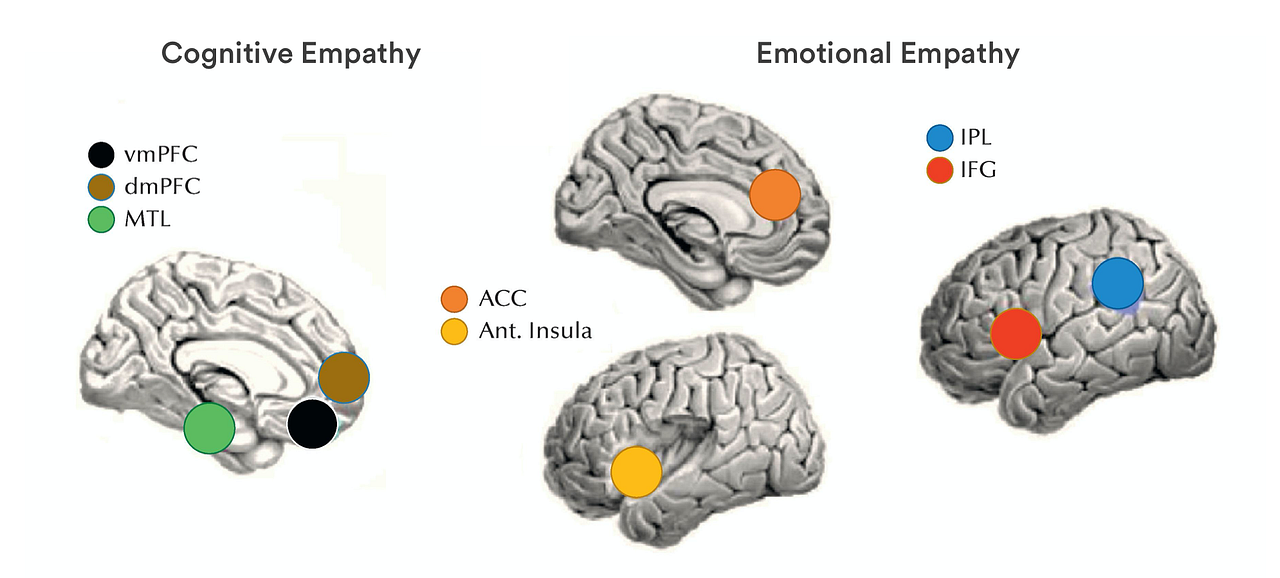 How to train your empathic muscle...science and methods... Medium