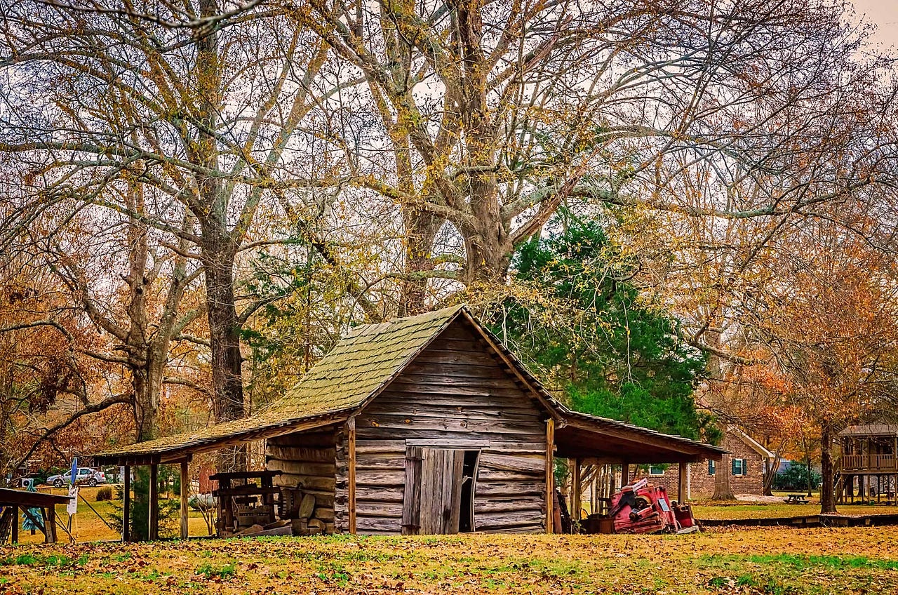 The legend of French Camp, Mississippi TumbleweedSOUTH Medium