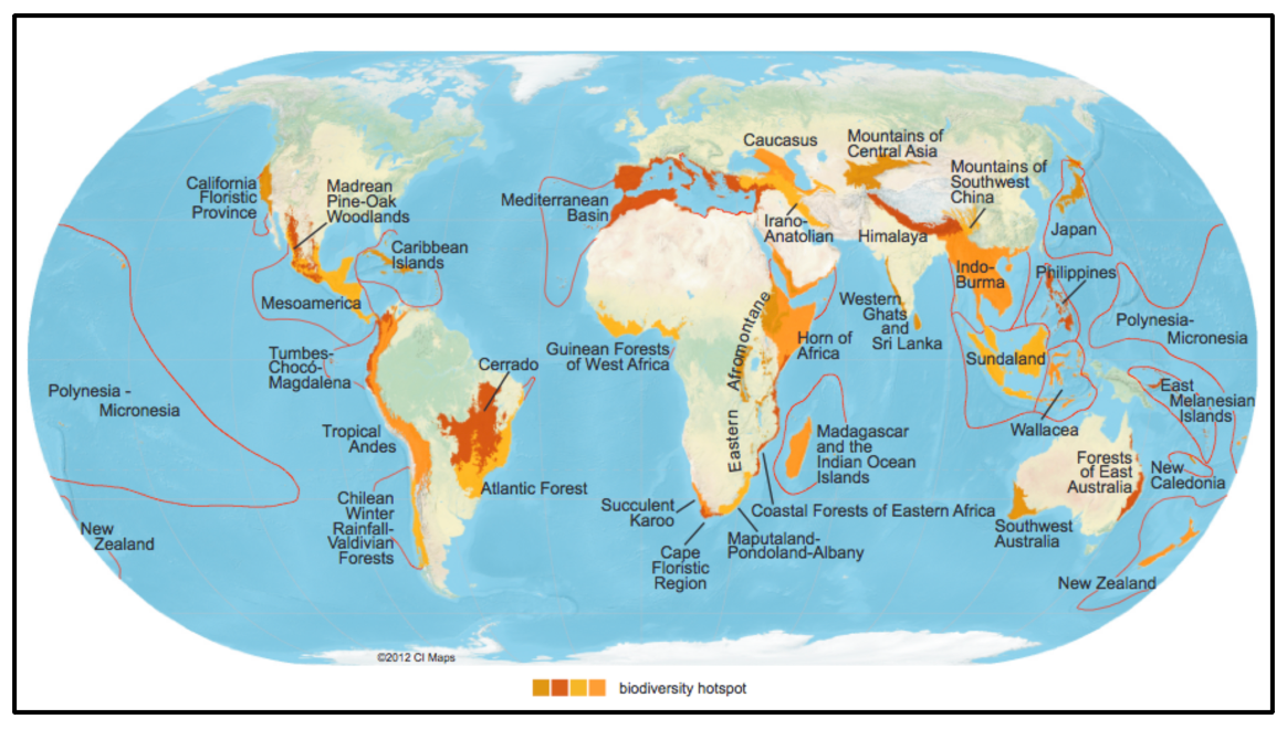 Can I Get a Dose of Biodiversity, Please? | by Olivier Loose | Climate ...