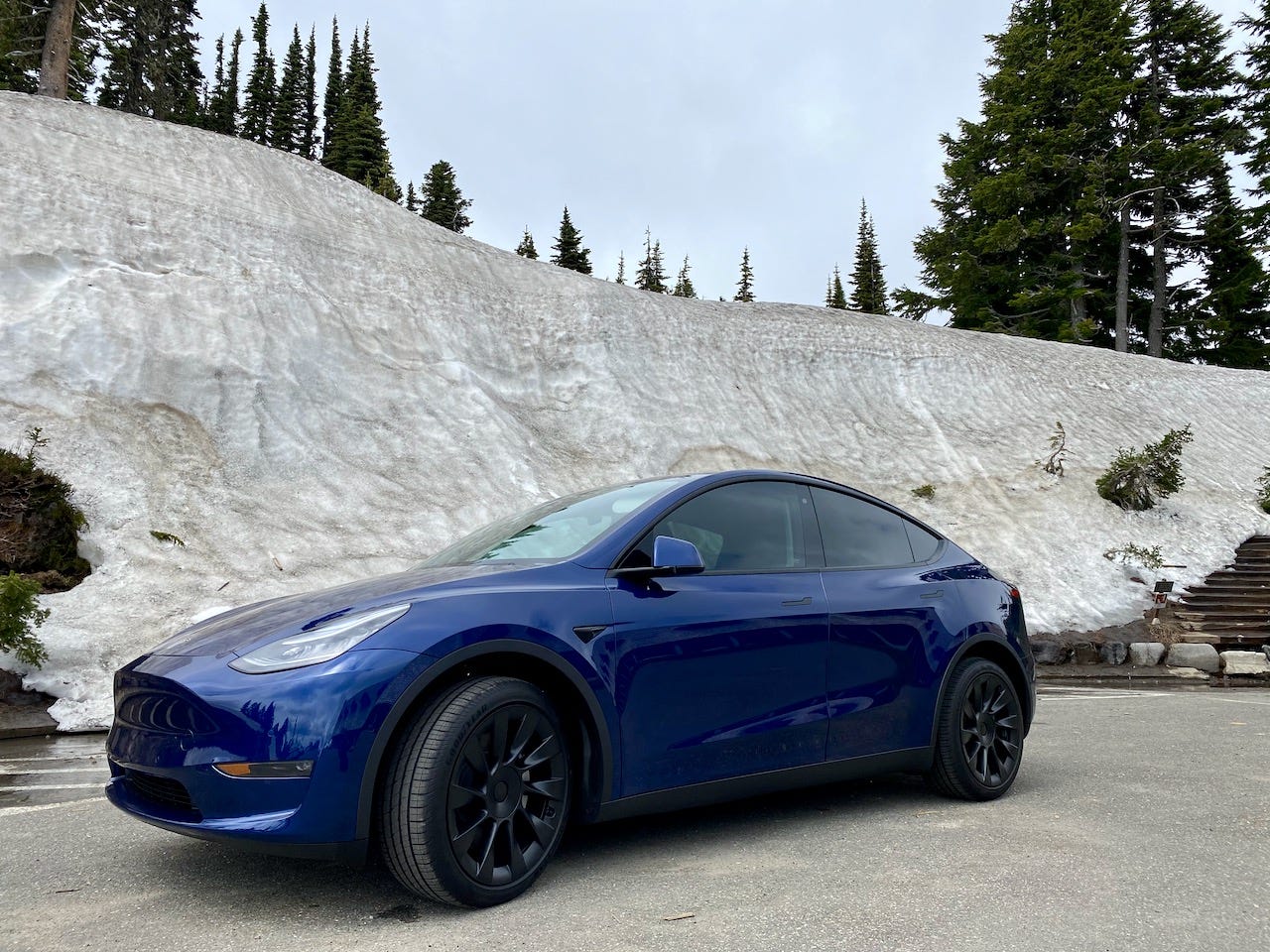 Tesla mt 06