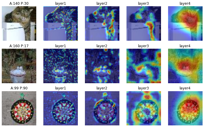 Tiny ImageNet Using PyTorch. I Joined In FreeCodeCamp Course Where ...