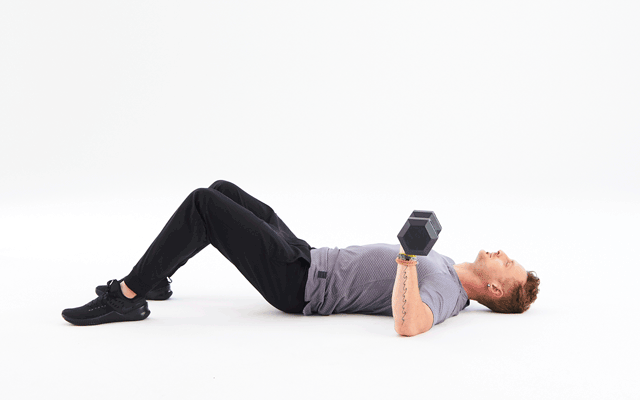 Today S Design Full Upper Body Dumbbell Routine For Weight Loss