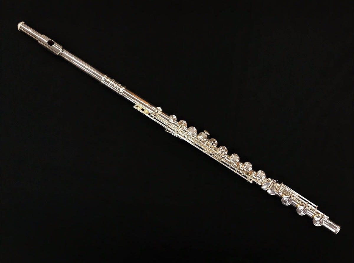 The Music Plays On — The Evolution of Musical Instruments by Donato