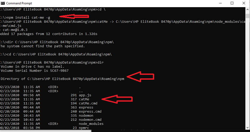 Solving Path Problem Running NPM modules/packages in Windows 10 NPM