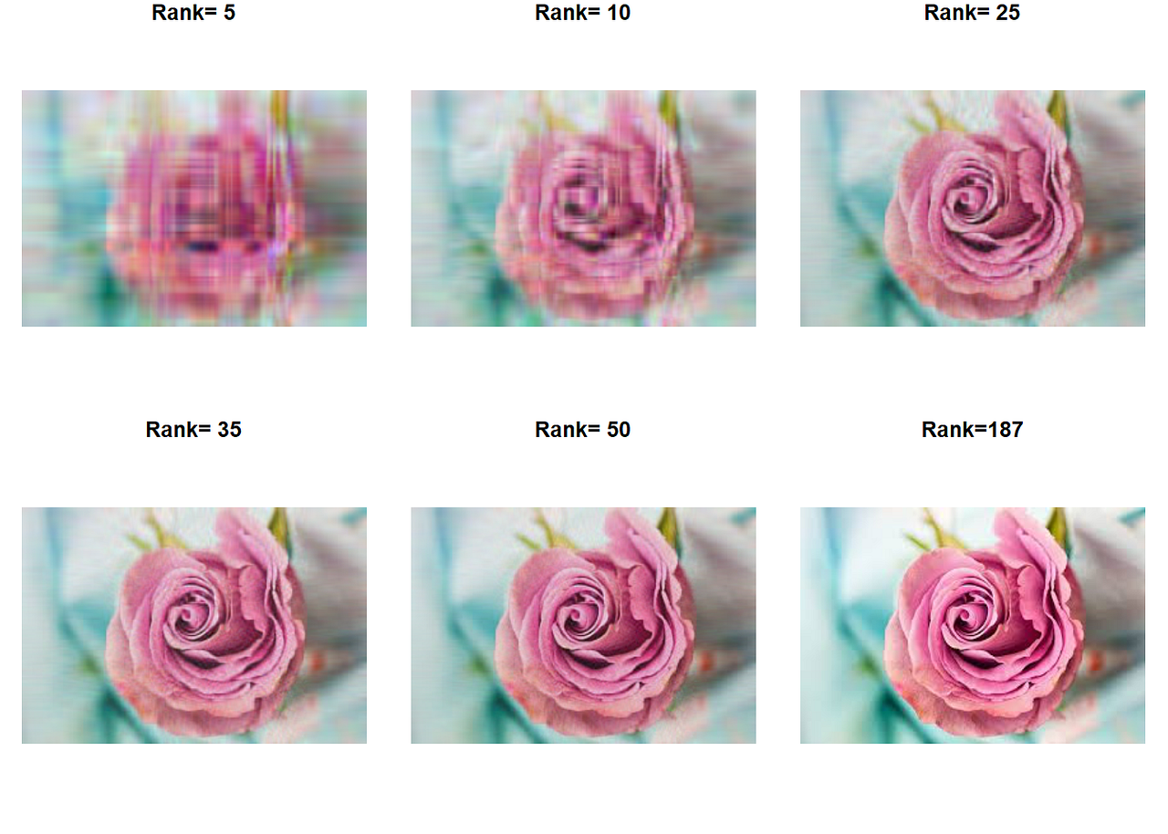 Image Compression Using SVD. This document contains a guide on image