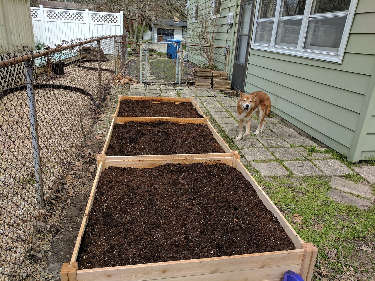 Square Foot Gardening. The Beginning | by Christopher Guest