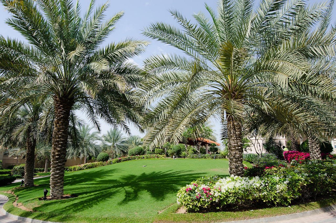 Garden Landscaping Dubai. landscape companies dubai | by