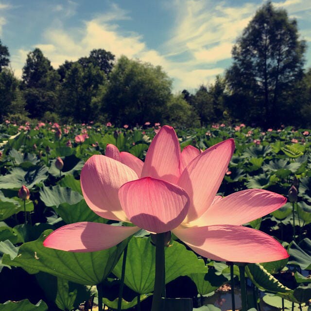 This Week On Water Reporter Erin Hofmann Medium